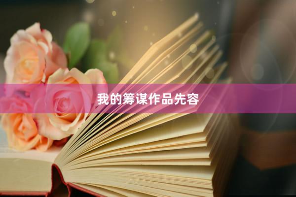 我的筹谋作品先容
