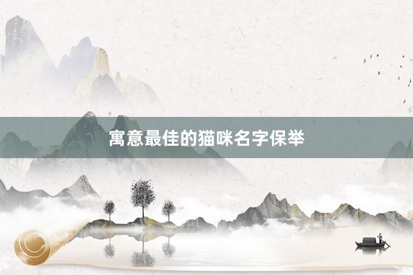 寓意最佳的猫咪名字保举
