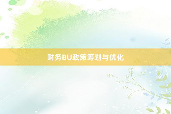 财务BU政策筹划与优化
